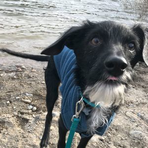 Meet your Posher, Deanna